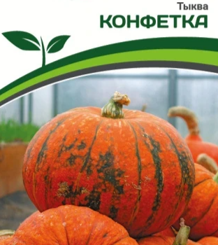 Партнер Тыква КОНФЕТКА (5шт) - Товары для дома и сада