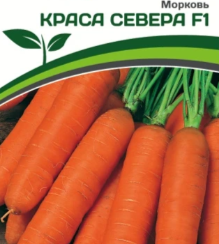 Партнер Морковь КРАСА СЕВЕРА F1 (0,5г) - Товары для дома и сада