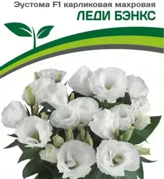 Эустома Леди Бенкс - Товары для дома и сада