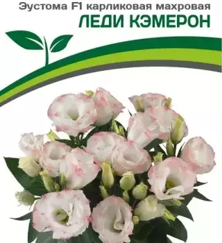 Эустома Леди Кэмерот - Товары для дома и сада