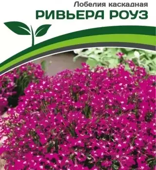 Партнер Лобелия каскадная РИВЬЕРА РОУЗ ^(10шт в амп) - Товары для дома и сада