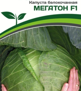 Партнер Капуста б/к МЕГАТОН F1 (10шт в амп) - Товары для дома и сада