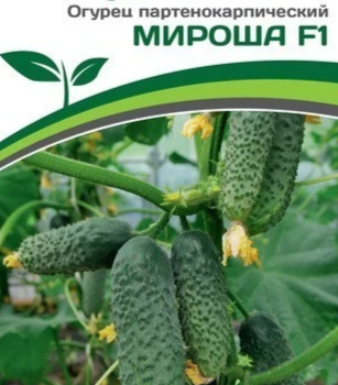 Партнер Огурец МИРОША F1 (10шт) - Товары для дома и сада
