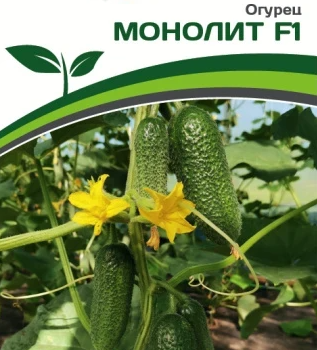 Партнер Огурец МОНОЛИТ F1 (5шт) - Товары для дома и сада