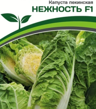 Партнер Капуста Пекинская НЕЖНОСТЬ F1 (0,5г) - Товары для дома и сада