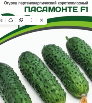 Партнер Огурец ПАСАМОНТЕ F1 (5шт) - Товары для дома и сада
