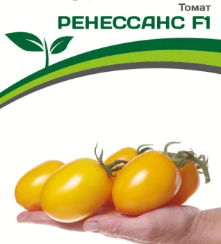 Партнер Томат РЕНЕССАНС F1 (10шт)  двойной пакет - Товары для дома и сада