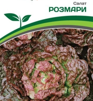 Партнер Салат кочанный РОЗМАРИ (1г) - Товары для дома и сада