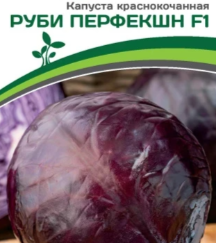 Партнер Капуста кр/к РУБИ ПЕРФЕКШН F1 (10 шт в амп) - Товары для дома и сада