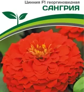 Партнер Цинния F1 САНГРИЯ / георгиновидная ^(4шт) - Товары для дома и сада
