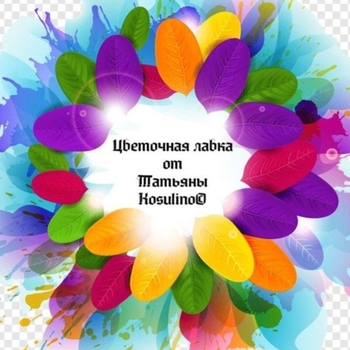 Нет изображения