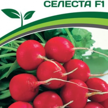 Партнер Редис СЕЛЕСТА F1 (1г) - Товары для дома и сада