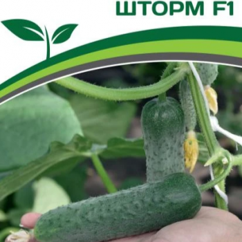Партнер Огурец ШТОРМ F1 (5шт) - Товары для дома и сада