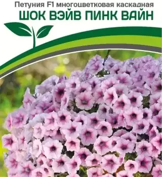 Партнер Петуния F1 серия ШОК ВЭЙВ ПИНК ВАЙН/ многоцветковая каскадная^(5шт в амп) - Товары для дома и сада