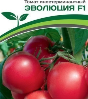 Партнер Томат ЭВОЛЮЦИЯ F1 (10шт) двойной пакет - Товары для дома и сада