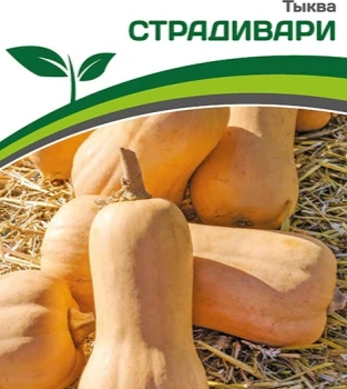 Партнер Тыква СТРАДИВАРИ (10шт) - Товары для дома и сада