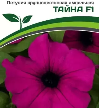 Партнер Петуния серия "Вивальди" ТАЙНА F1 / крупноцветковая ампельная^(5шт в амп) - Товары для дома и сада
