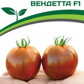 Партнер Томат ВЕНДЕТТА F1 (5шт)  двойной пакет - Товары для дома и сада