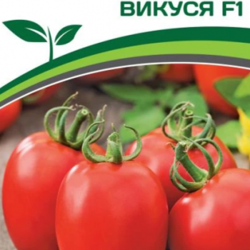 Партнер Томат ВИКУСЯ F1 (10шт)  двойной пакет - Товары для дома и сада