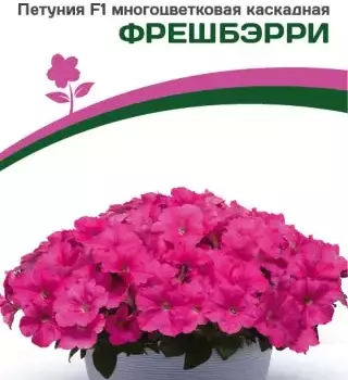 Партнер Петуния F1 серия "ЗАЦВЕТЁТ" Short ФРЕШБЭРРИ/ многоцветковая каскадная^(5шт в амп) - Товары для дома и сада