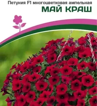 Партнер Петуния F1 серия "ЗАЦВЕТЁТ" Long МАЙ КРАШ / многоцветковая ампельная^(5шт в амп) - Товары для дома и сада